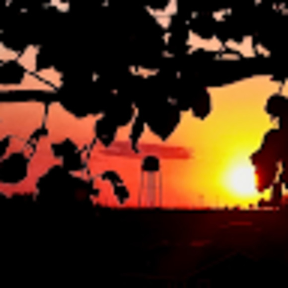 Meet your Posher, Lucy - Picture 1 of 1